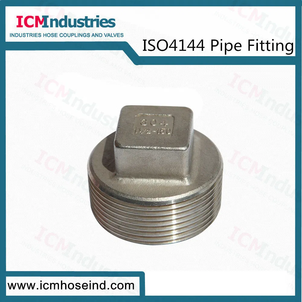 Stainless Steel Hex Bushing Threaded Fittings/ISO 4144 Pipe Fitting
