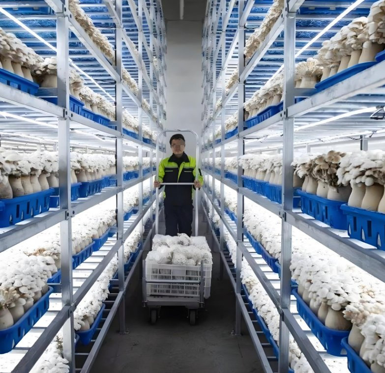 Breeding Capsule Container Intelligent Automatic Mushroom Intelligent Breeding Capsule