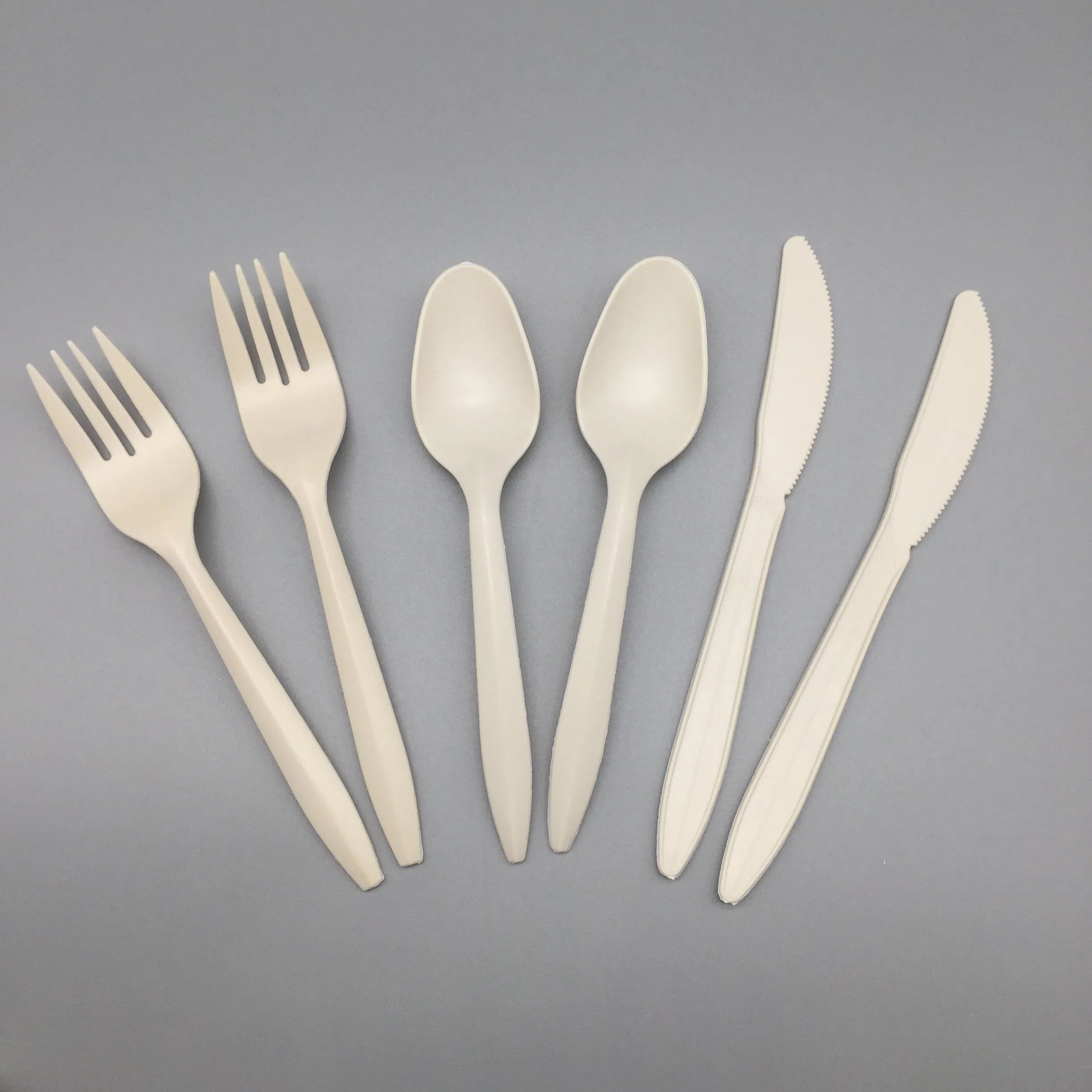 Eco-Friendly Takeaway Spoon Knife Fork Cutlery Kits Disposable Utensil Set for Food