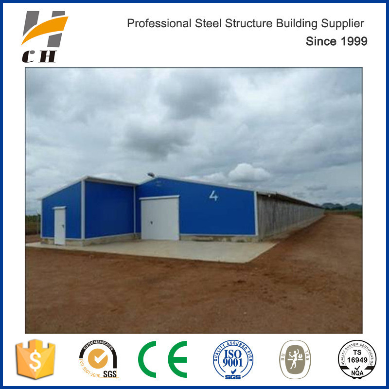 Prefab Low Price Light Steel Structure for Poultry Farm/Poultry Shed/Chicken Farm/Chicken Shed