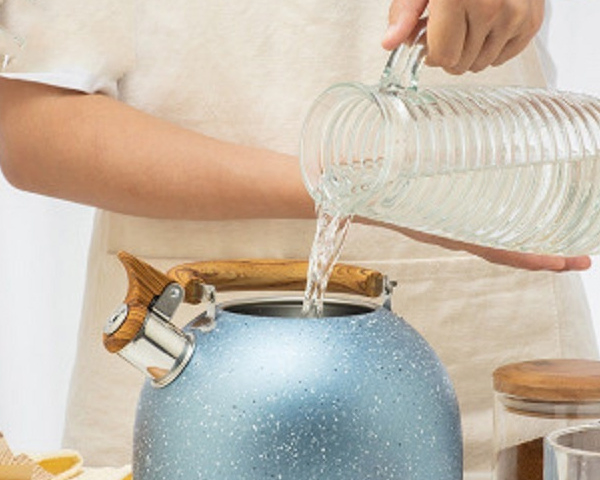 Stainless Steel 2L Hot Tea Coffee Kettle Retro Whistling Teapot Kettle with Wooden Handle Design Bl16343