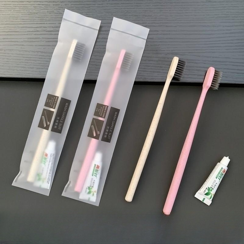 Customized Hotel Supply Toothbrush with Mini Toothpaste for Guests