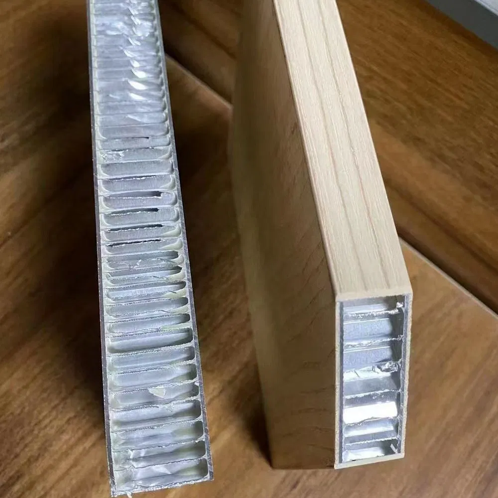 Premium Worm Pattern Honeycomb Roof Tent Panel for Cars