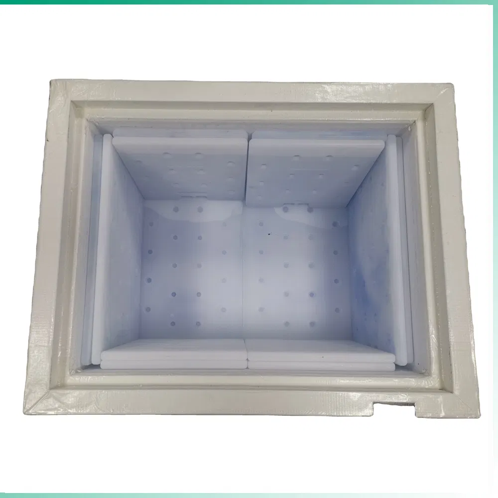 Polyurethane Foam with VIP Panel for Insulation Box or Cooler Box