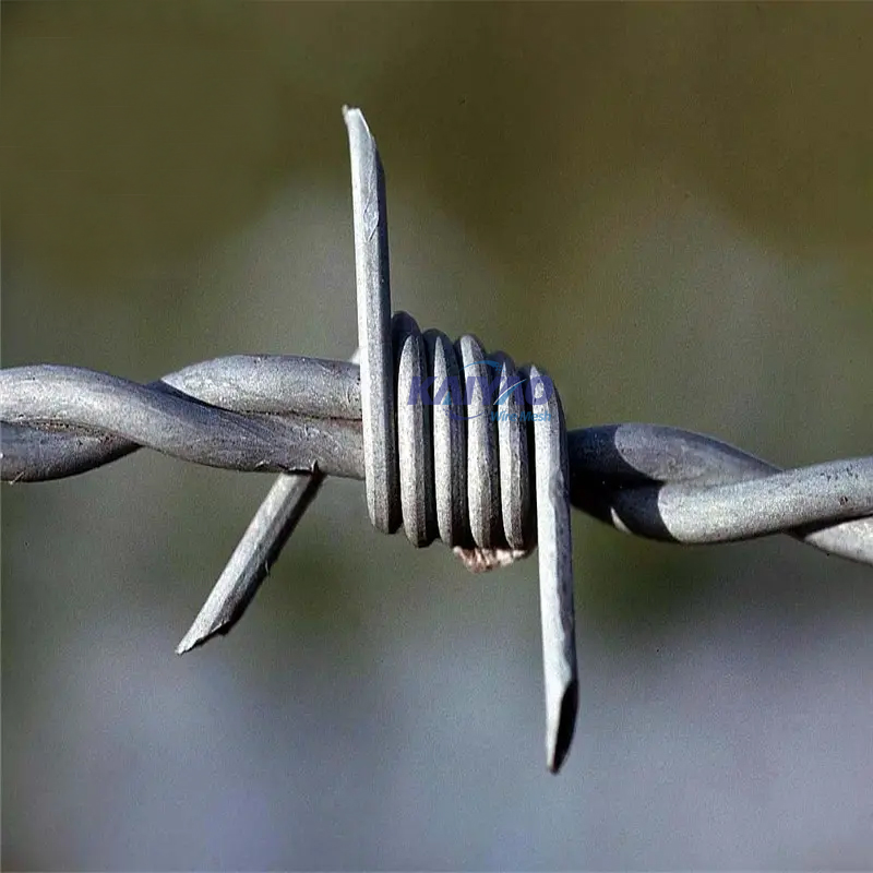 Customizable Blade Razor Barbed Wire for Harsh Environment Security Solutions
