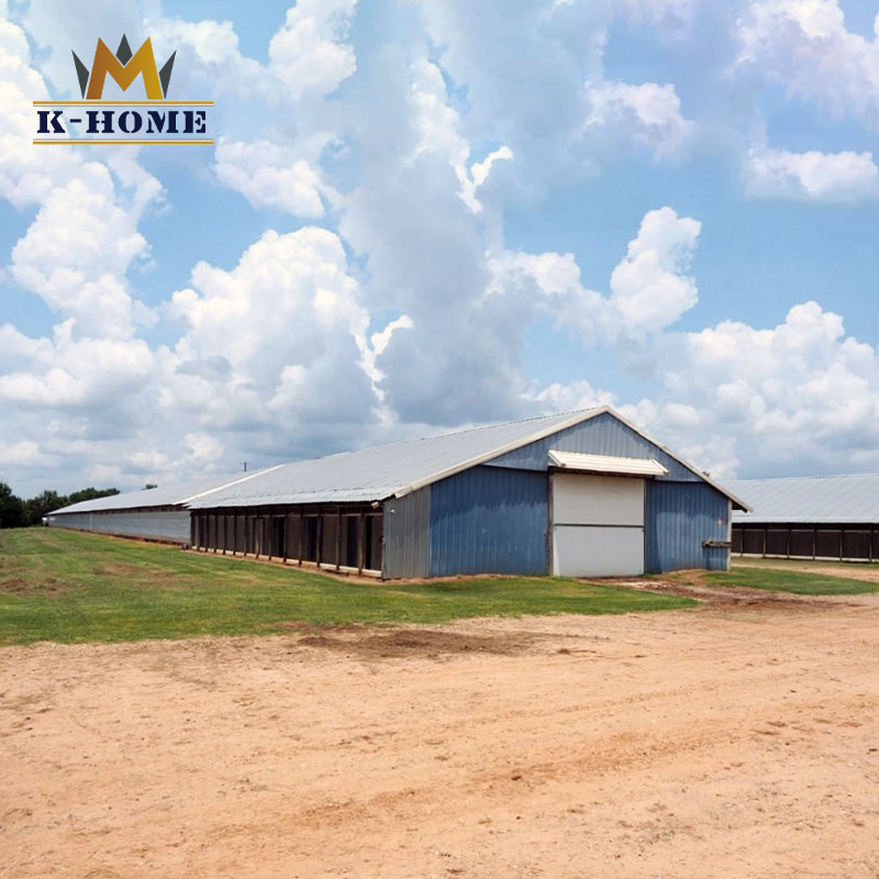 China Cheap Steel Structure Industrial Poultry Broiler Chicken Farm for Sale