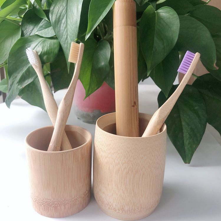 Environmental Biodegradable Bamboo Toothbrush