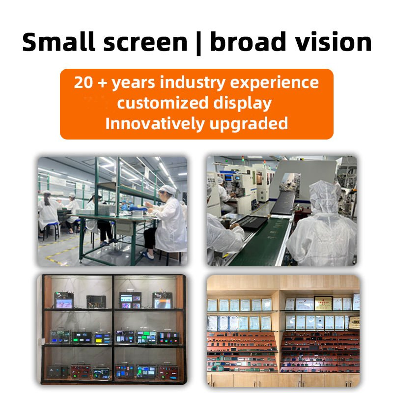 2.42 Inch 24-Pin LCD Display OLED Pmoled with SSD1309 Controller