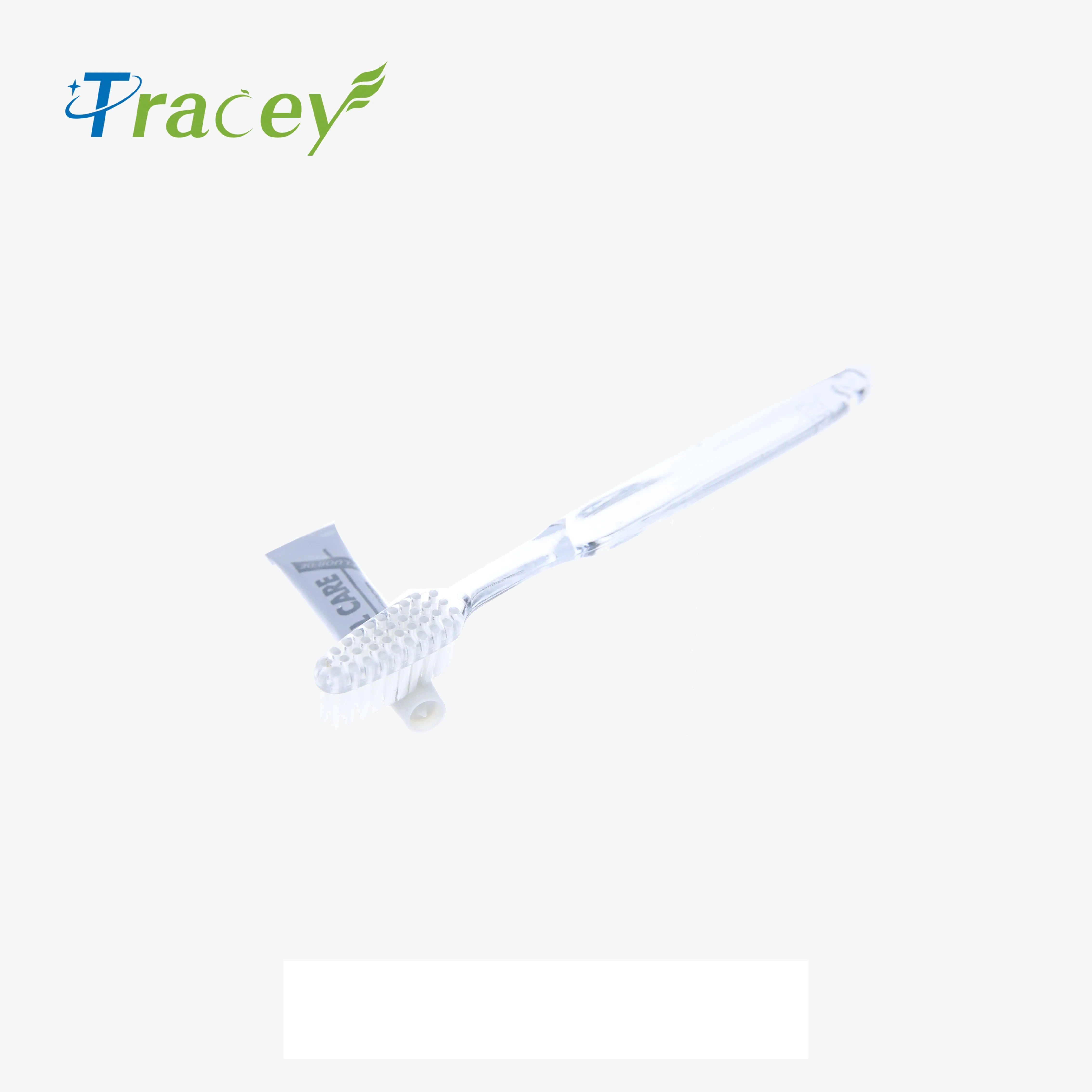 Dental Kit for Portable Hotel, Travel, and Airplane Use