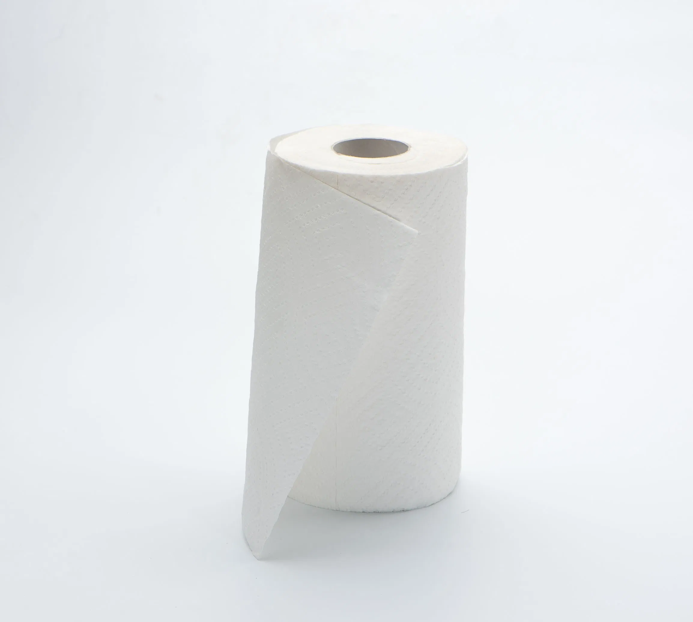 Wholesale Professional Kitchen Customm Logo OEM Hot Selling Disposable Kitchen Paper Towel