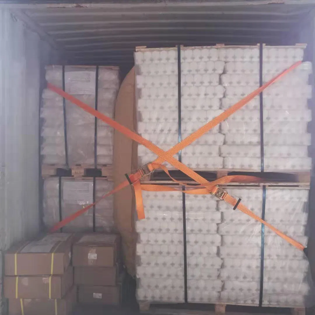 Chaudires a Gaz Avec Des Radiateur Cast Iron Radiator