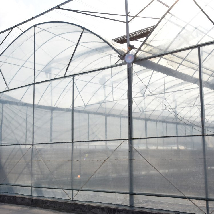 Side Ventilation, Top Steel Structure Bridge Multi Span Plastic Greenhouse