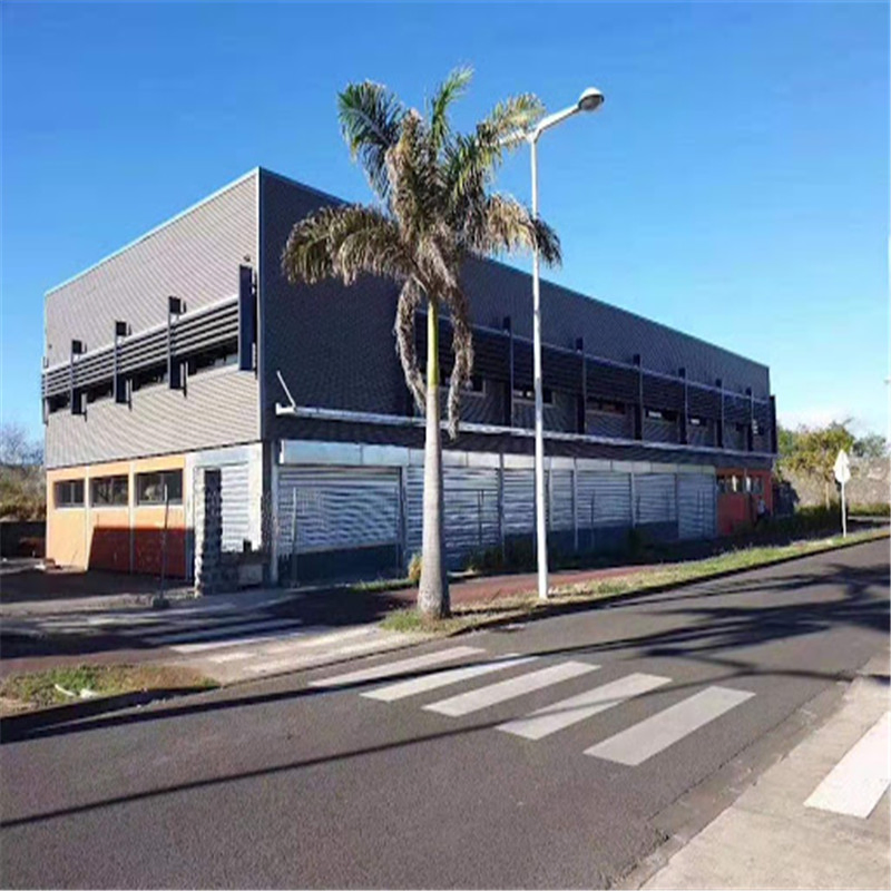 Steel Beam and Steel Column Office Building