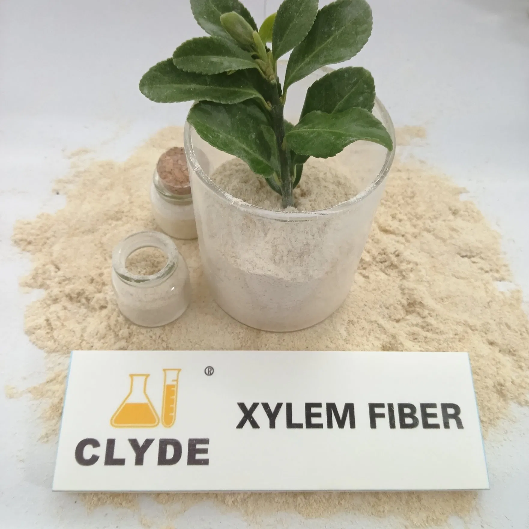 China Factory Supply Wood Cellulose Fiber Building Material Additives Xylem Fiber