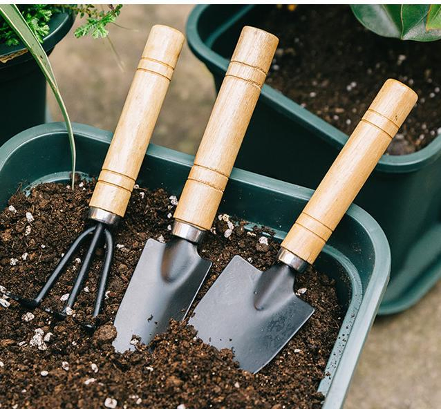 Mini Garden Tool 3 Claw Rake with Wooden Handle for Hobby Home Use DIY 5.5 Inch