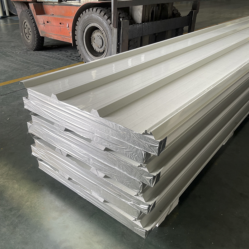 Durable Cold Storage Insulated Foam Panels for Safety
