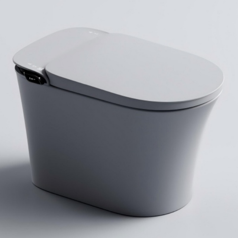 Modern Intelligent Toilet Ceramic Remote Control Intelligent Toilet Seat