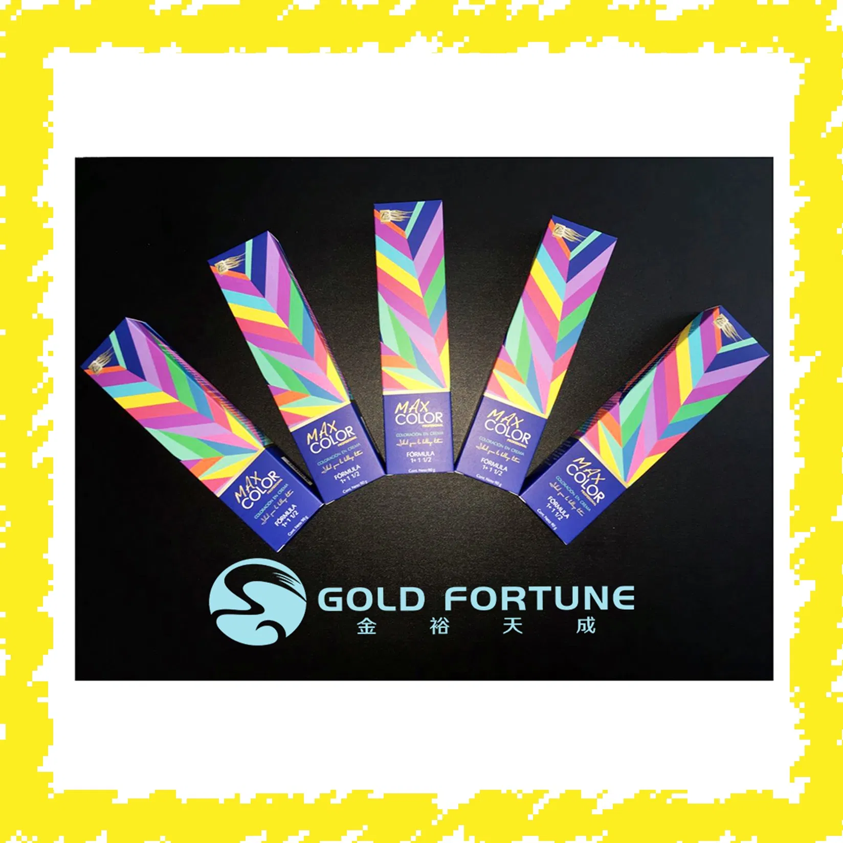 Wholesale Salon Hair Colour Chart Kit