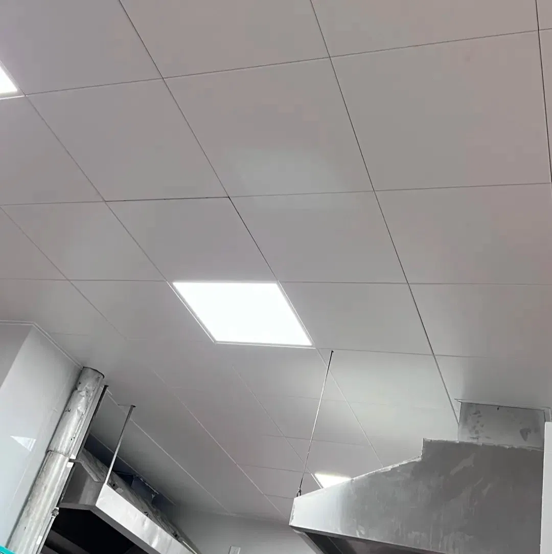 Customizable Aluminum Ceiling - Fast Delivery in 10-15 Days Various Styles