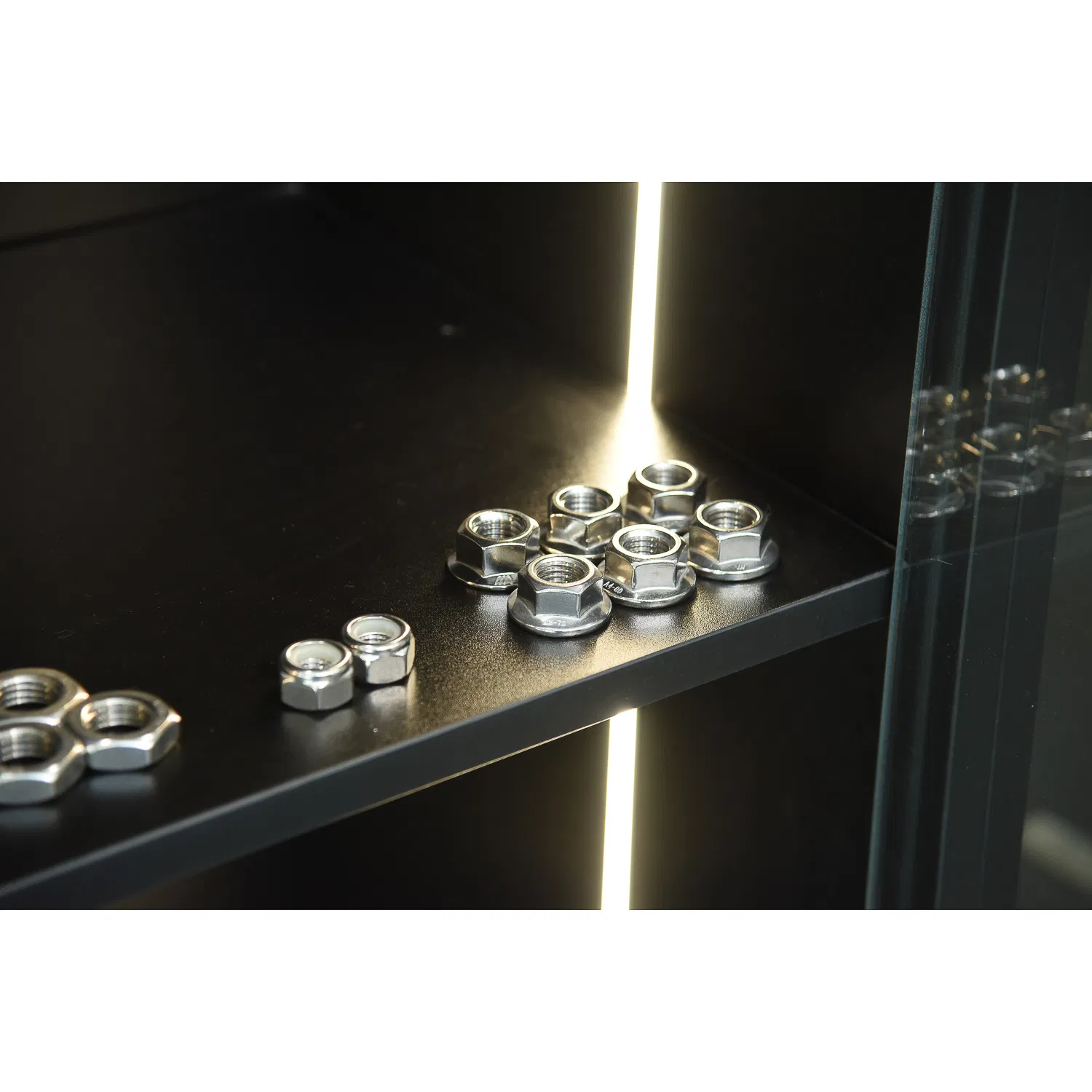 Stainless Steel Hex Nut/ Flange Nut/Thin Hex Nut/Wing Nut