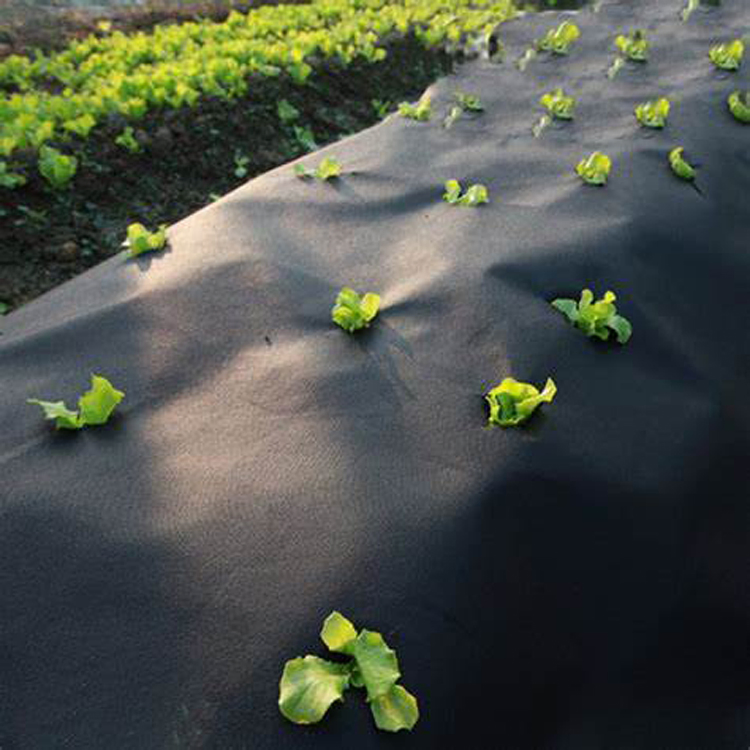 Non-Woven Agricultural Use Fabric Weed Control for Gardening/Agricultural