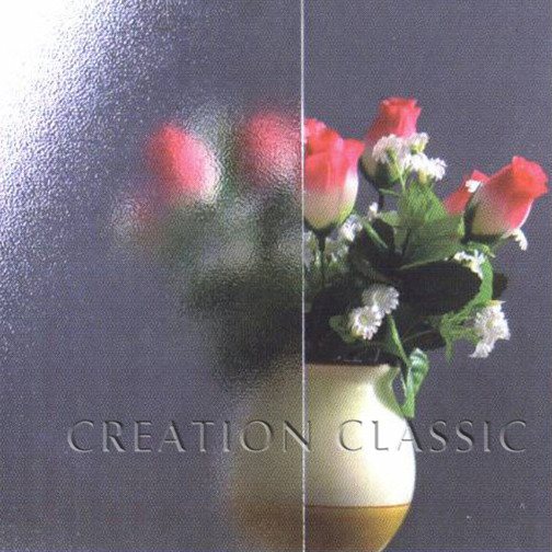 5mm 6mm Acid Etched Glass Wired Glass for Decoration