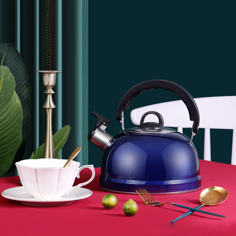 Чайник стальной 3л с индукционным дном