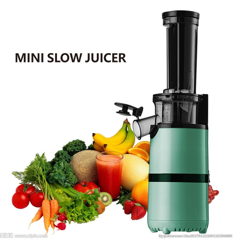 Slow Juicer Fruit and Vegetable Juicer
