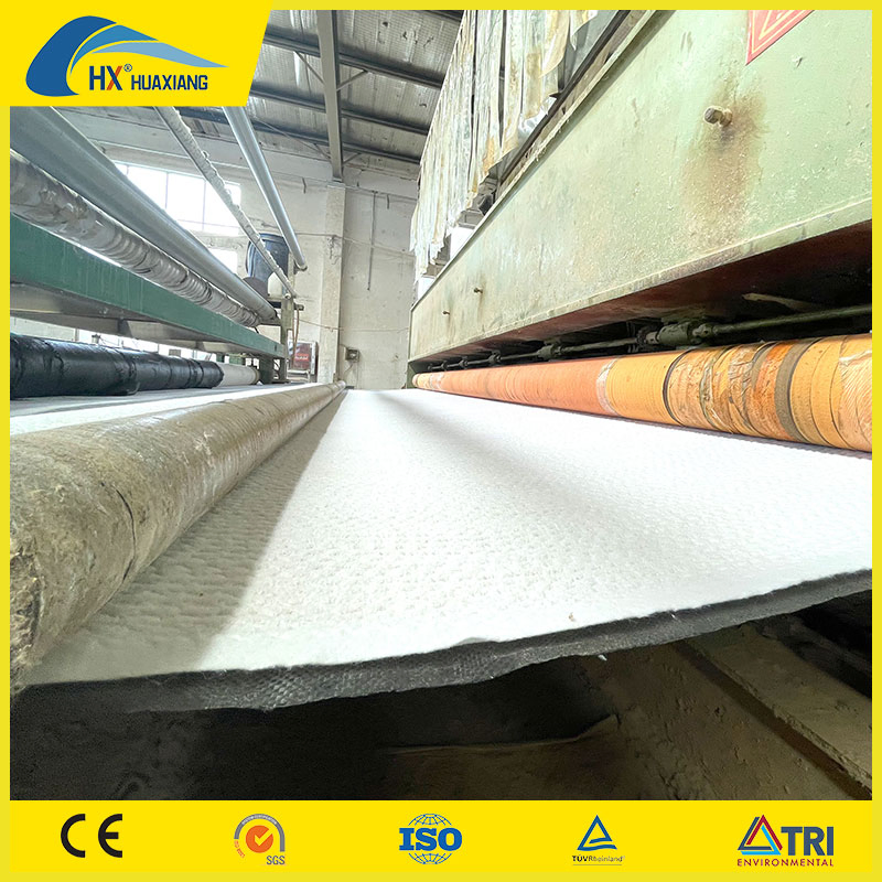 3000g 4000g 5000g 6000g 7000g 8000g/Sqm Geosynthetic Clay Liner Gcl for Garbage