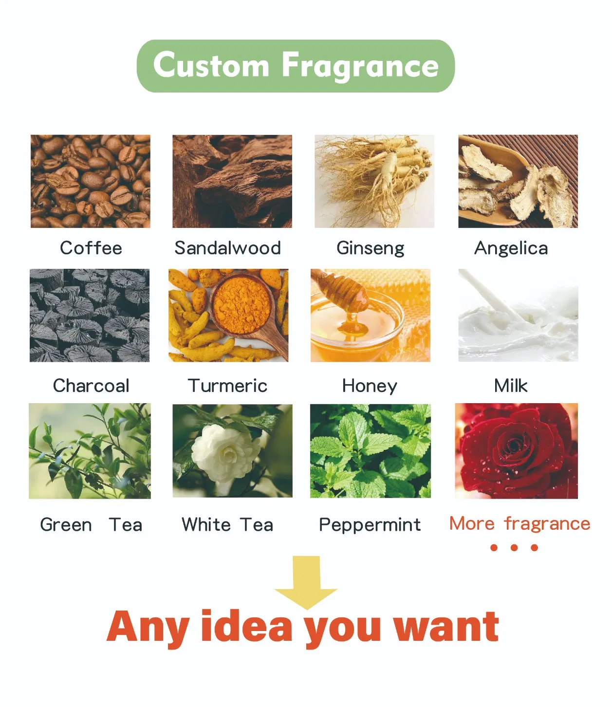 OEM ODM Anti Aging Moisture Dark Circles Anti Aging Eye Care Serum