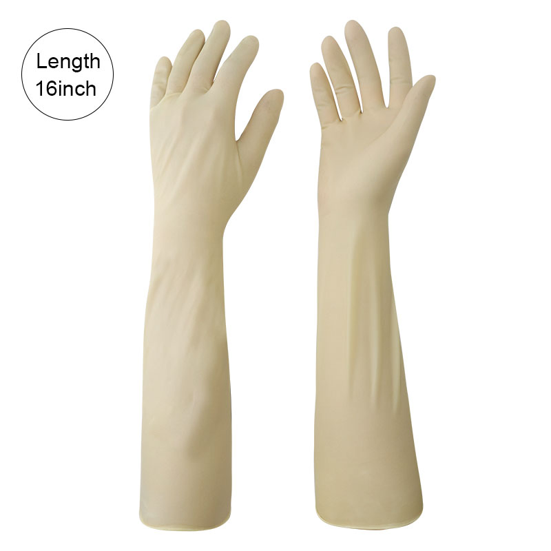 Long Cuff Latex Sterile Touchscreen Disposable Gloves