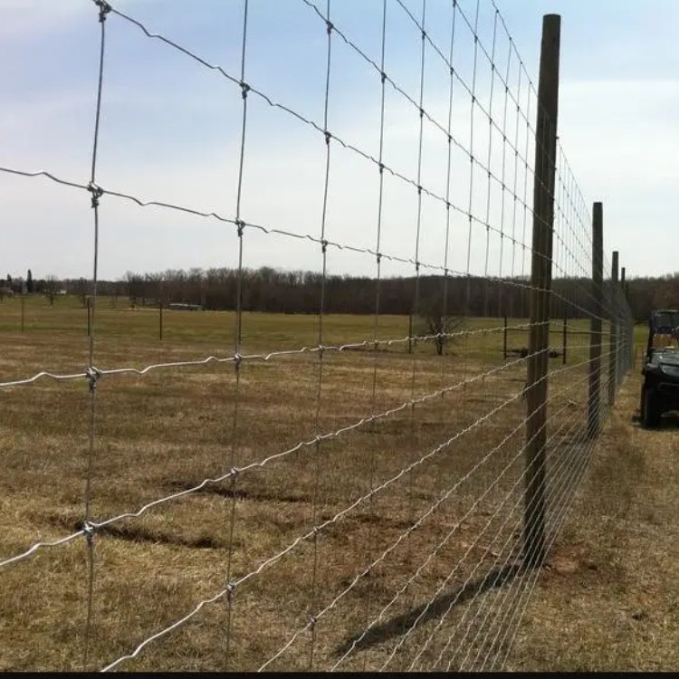 High Quality Galvanized Fixed Knot Wire Mesh Farm Fence Cattle Deer Horse