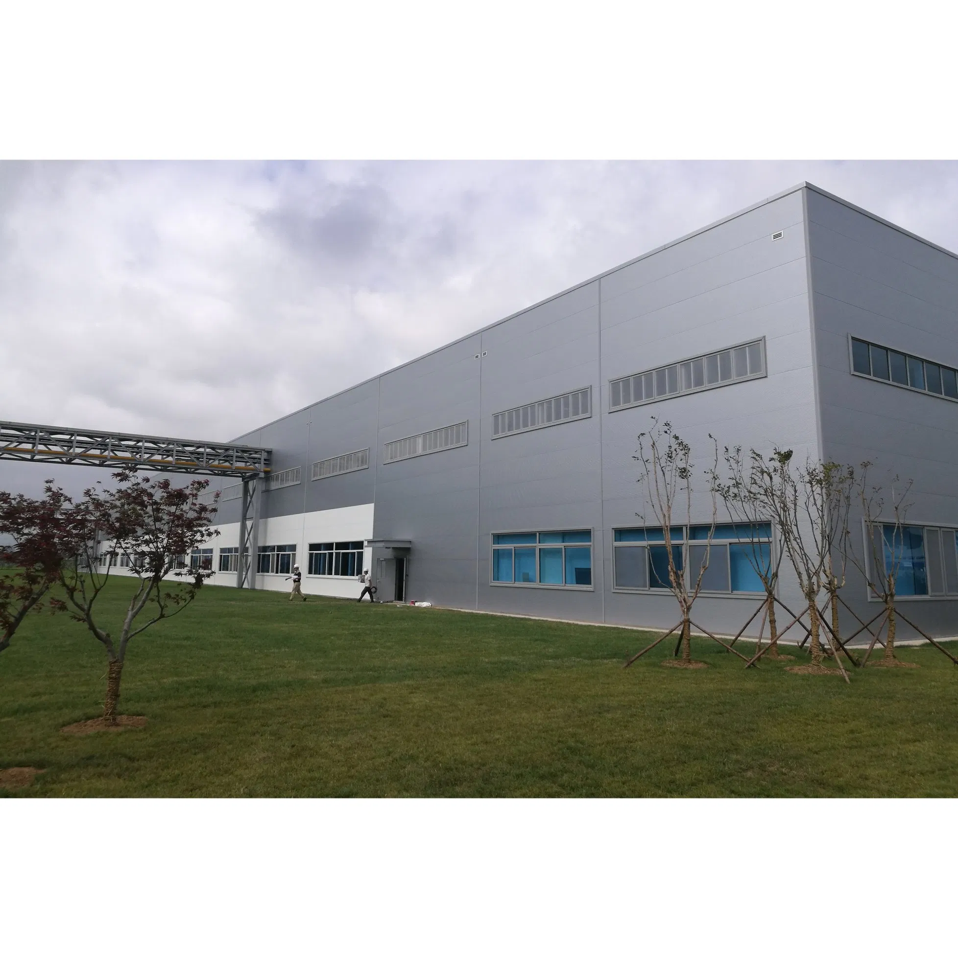 Famous Metal Steel Structure Building Workshop