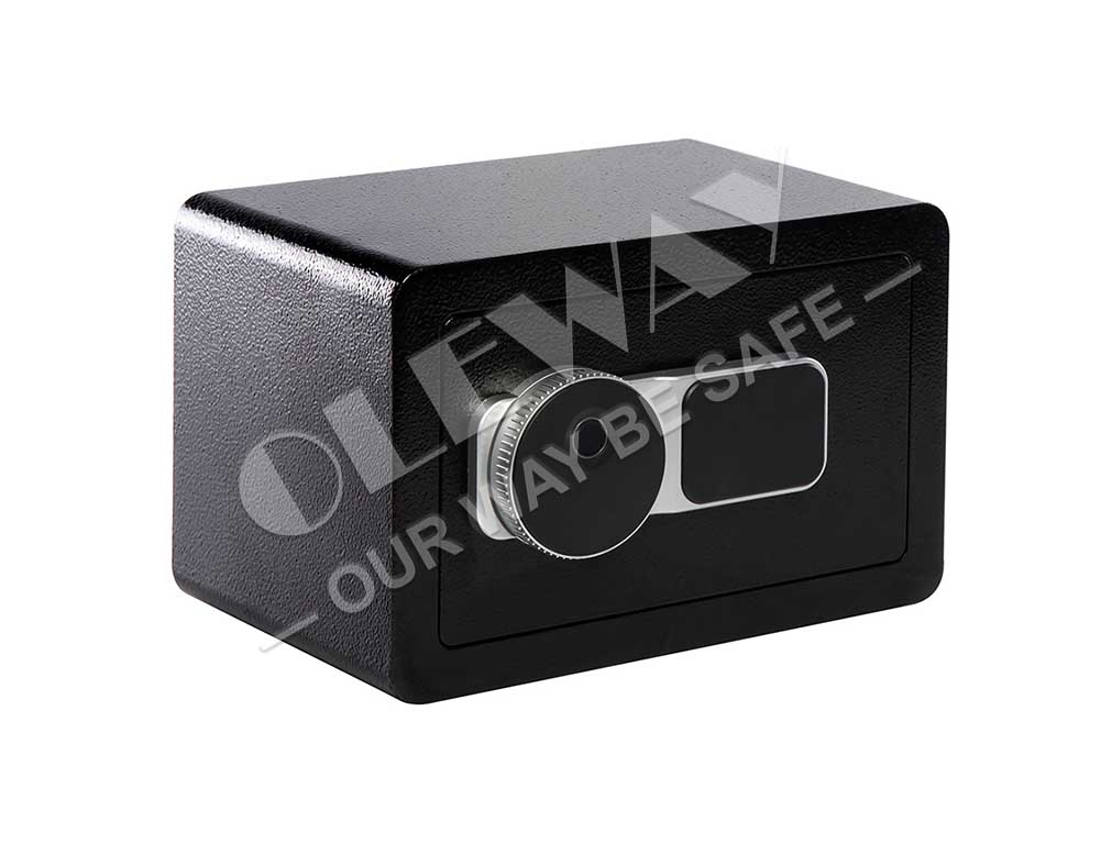 Interior Leather Decoration Fingerprint Safe
