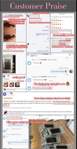 OEM Private Label Lashes Tray Premade Loose Fan Lashes Wispy Loose Pre