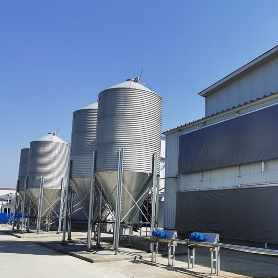 Prefabricated Hot Galvanized Steel Structure Building Poultry Farm Chicken House
