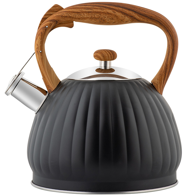 Modern Whistling Kettle Surgical Stainless Steel Teakettle Tea Pots Stove-Top Tea Kettle
