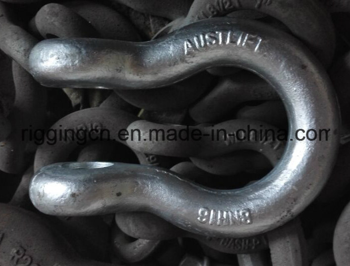 Shackle/ Anchor Shackle Rigging Hardware Us Type