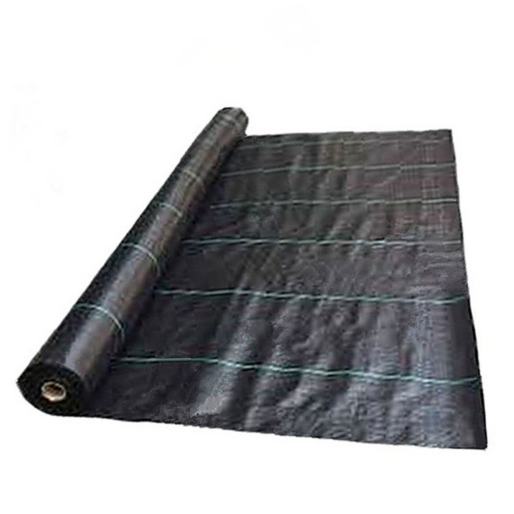 Anti-Weed Control Ground Cover Black PP Woven Weed Mat