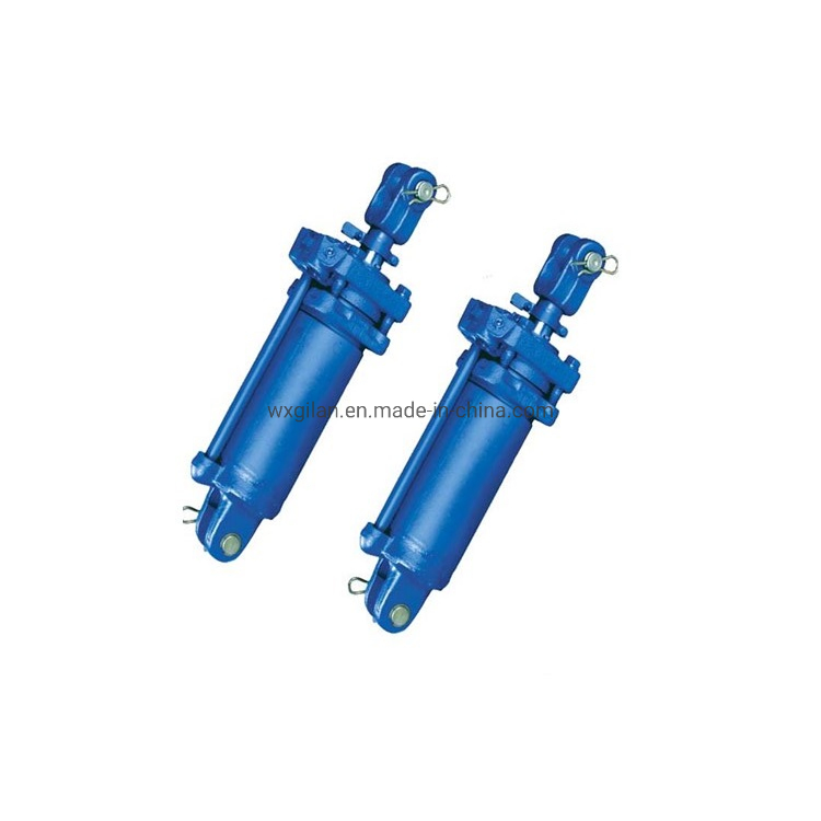 Cheap 10 Ton Small Size Hydraulic Cylinder/RAM Customized