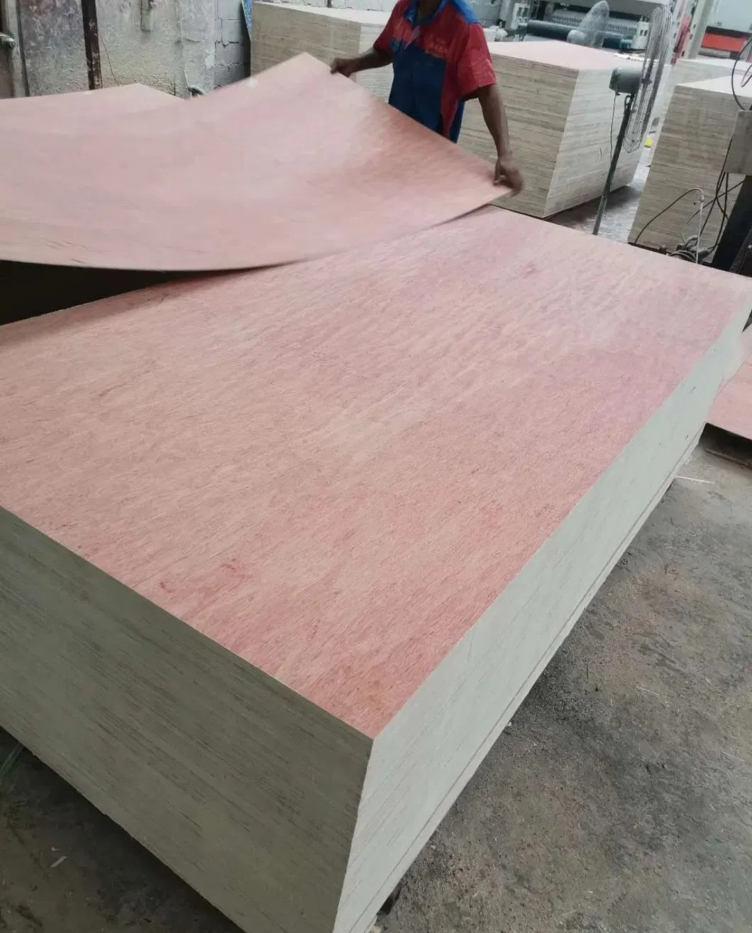 Customizable Pine Veneer Plywood for Lightweight Furniture Projects