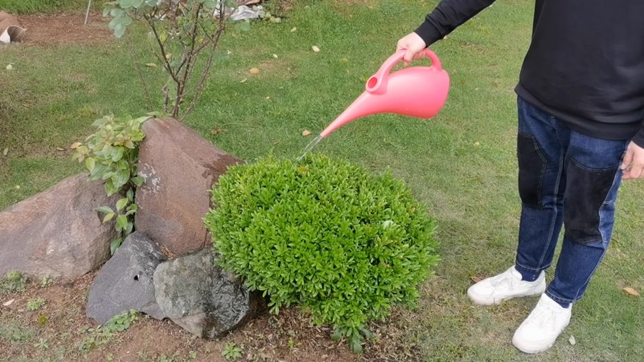 Winslow Ross Cute Design Plastic Water Cans Watering Pot Garden Watering Can