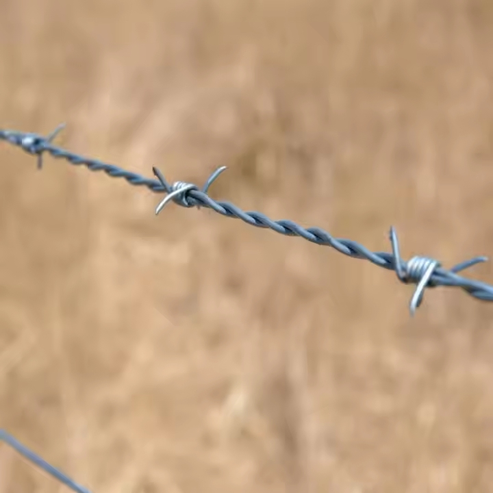 Heavy-Duty Galvanized Barbed Wire for Secure Farm Fencing Barbed Wire Roll Fence
