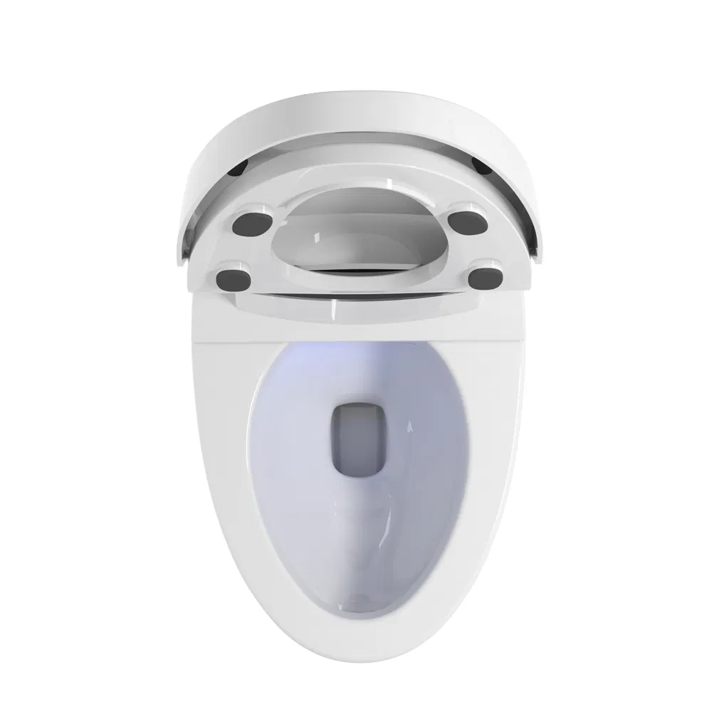 European Smart Intelligent Toilet Automatic Flush Toilet Sanitary Ware One Piece Toilet