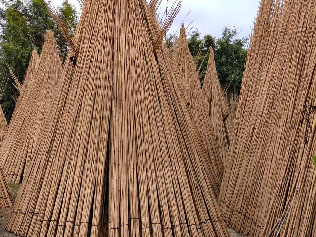 Tonkin Bamboo Pole Stake Stick Cane for Plant/Tree/Flower Support Bamboo D