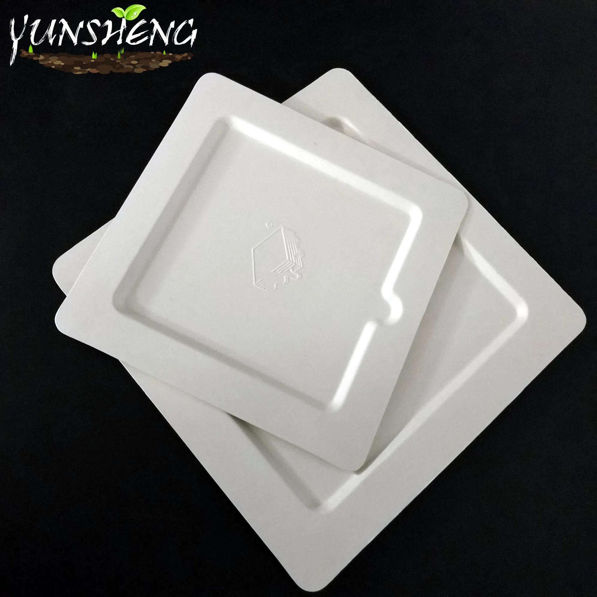 Disposable Manufactural Bagasse Pulp or Bamboo Fiber Paper Customized Square Plate for Delicious Cooking