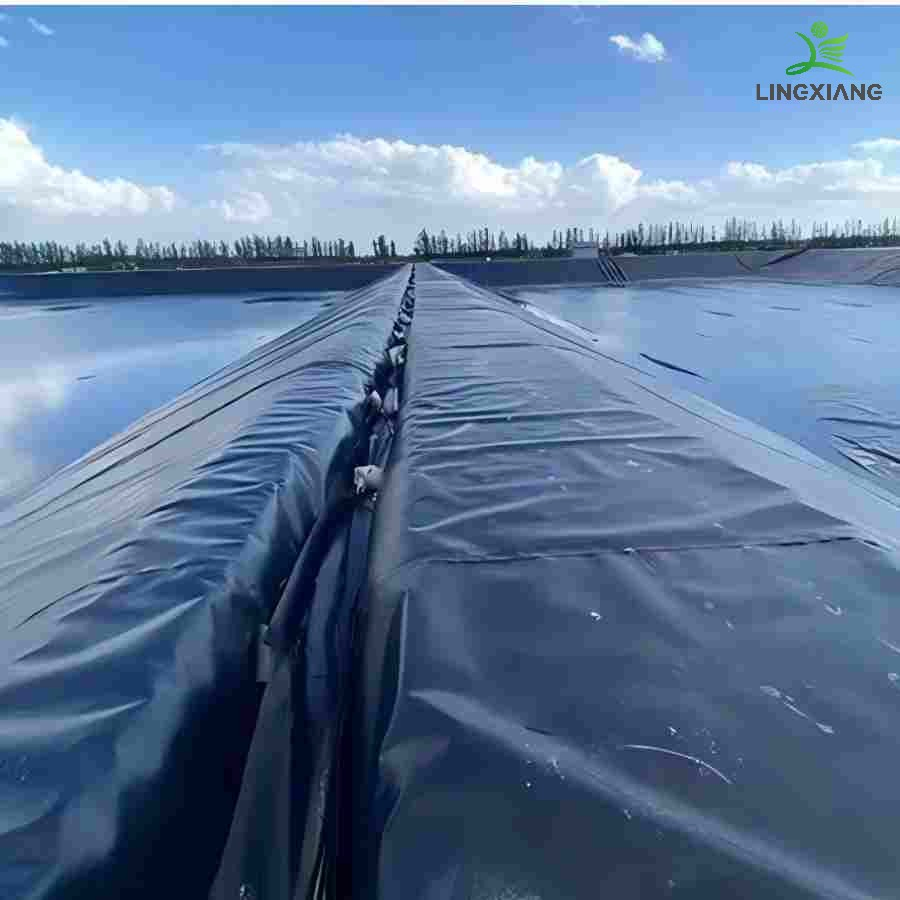 Reliable Waterproof Geomembrane for Fish Shrimp Pond and Biogas Applications Swimming Pool Agricultural Agriculture Aquaculture Water Storage Pool PVC Liner