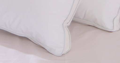 Pillow 48X74cm Set of 2 Down Pillows Suitable for Allergy Sufferers, Soft Pillow with Goose Feathers and Fabric Made From 100% Pure Cotton