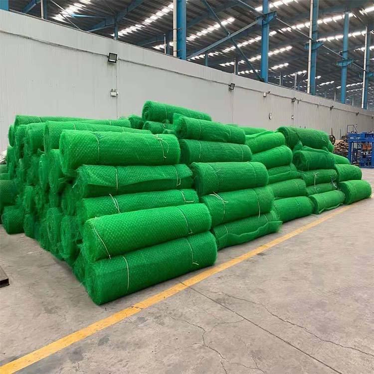 Saline Land Vegetation Net Eco-Friendly Durable Soil-Stabilizing Custom Specification Free Sample