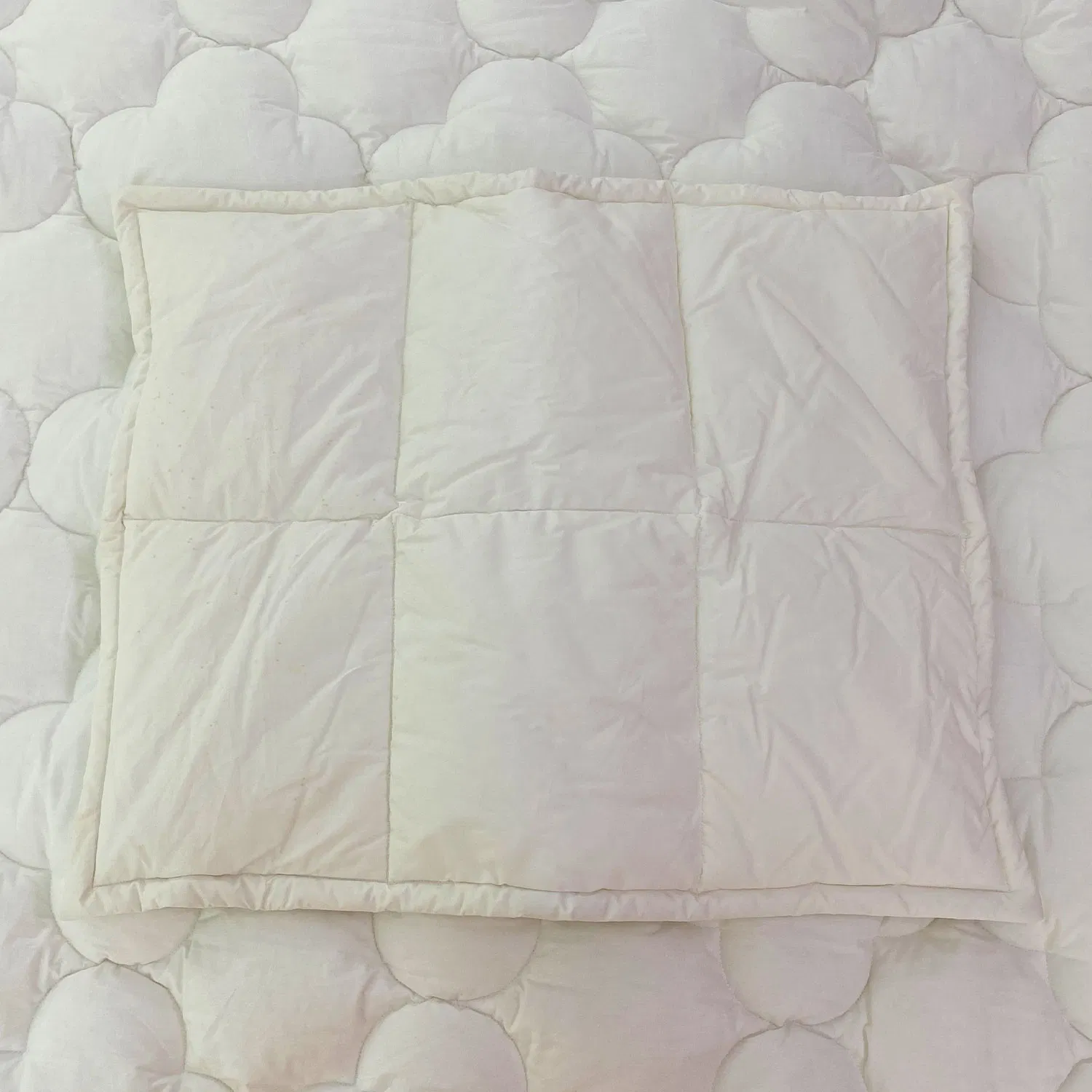 High Quality Rectangle Plain Twill Velvet Resistant Worsted Cotton Elegant Pillow Case
